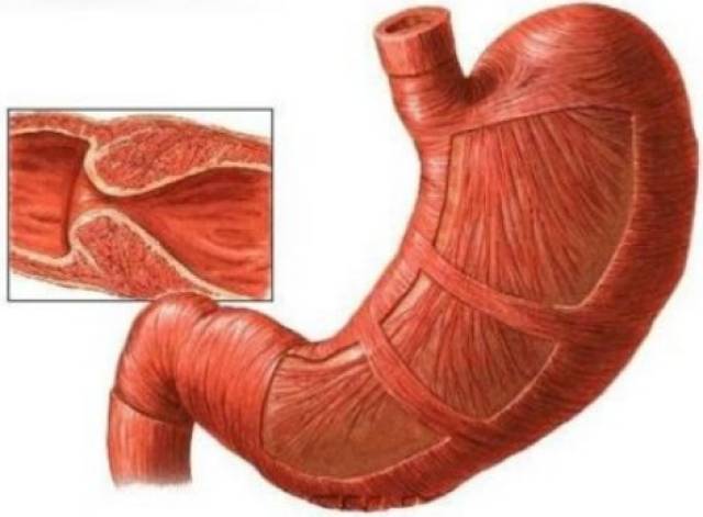 最多观看视频 我可以再为您进一步查找