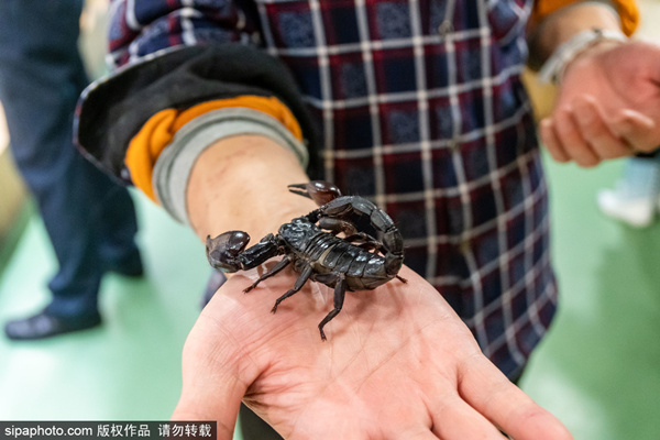 维妮寸止视频 我非常乐意为你提供帮助