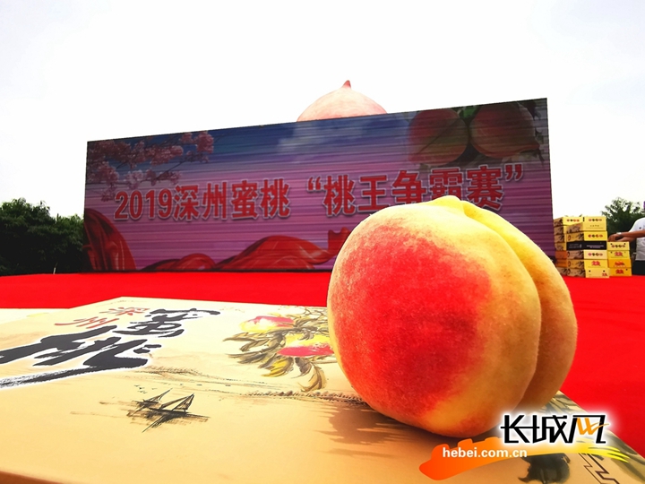 每日黑料社 缺乏深度分析与多角度呈现