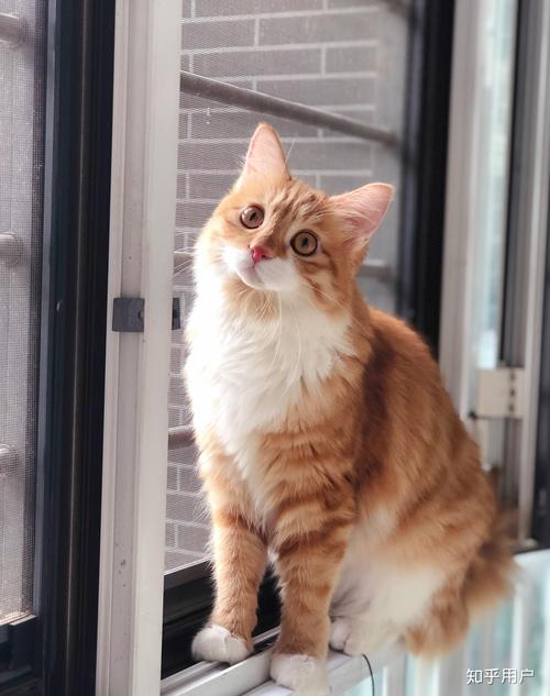 99久久99久久精品国产片 久久精品国产片依然焕发新生