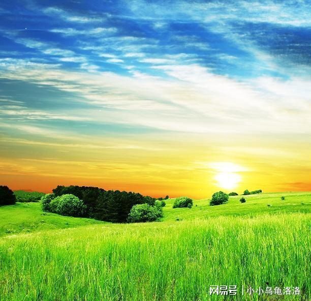 51在线影院 安全无病毒的线影院环境