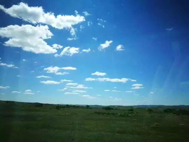 困狗新年 困狗新年我会尽力为您解答