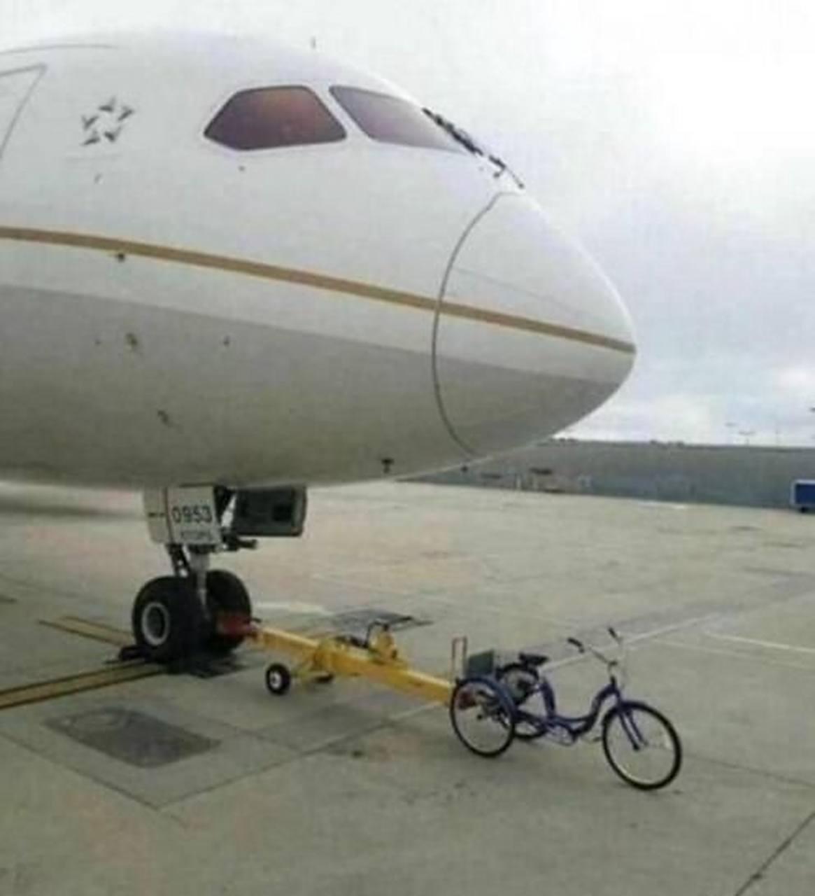 幼女视频资源 最高可判处无期徒刑