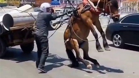 kuzu视频 特定圈子的视频说法