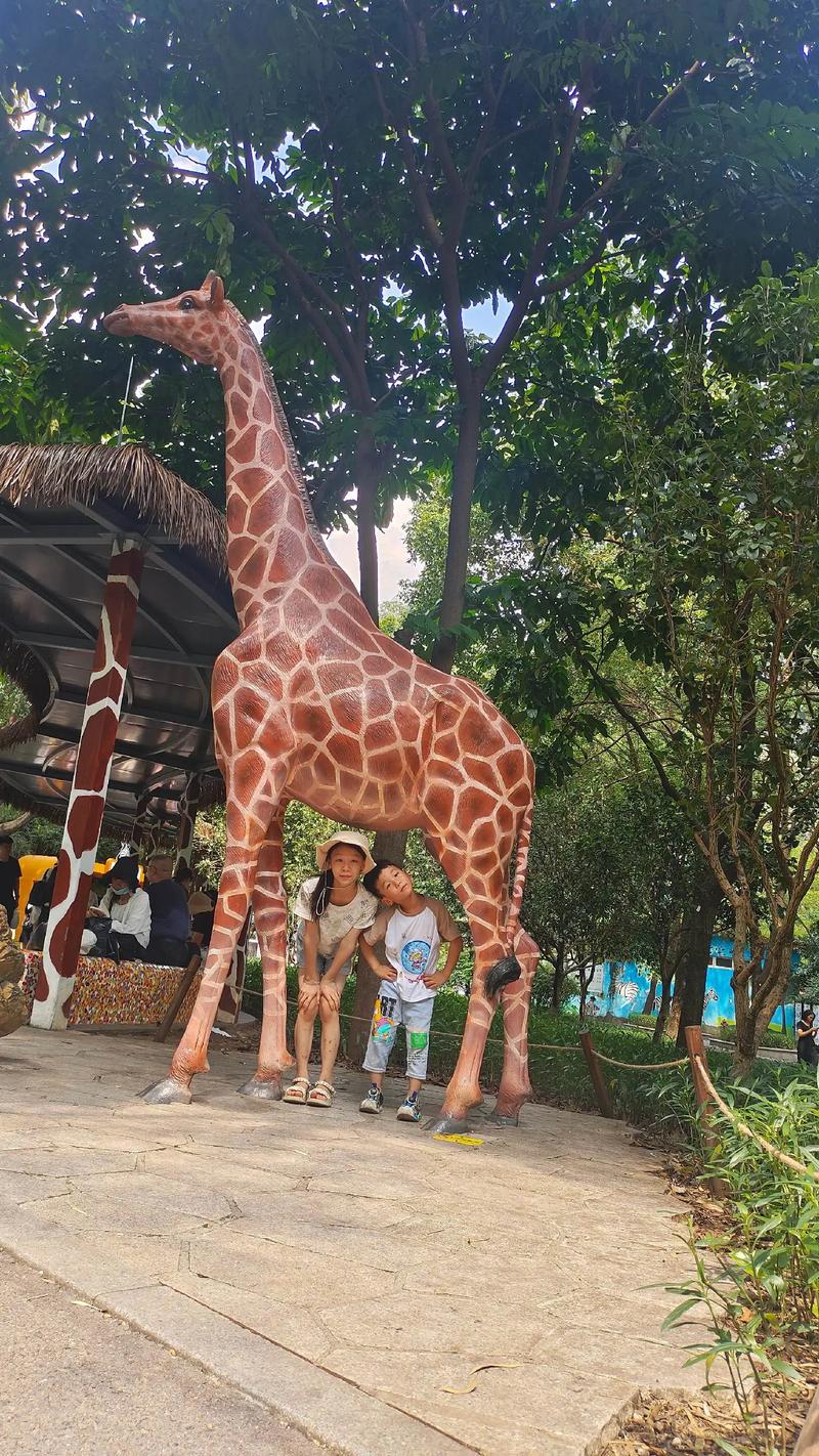 yw视频 如果“yw”特指某个小众平台