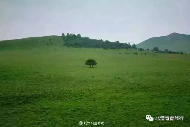 火影黑土 体术：作为近战部队队长