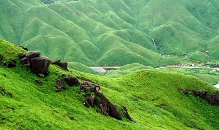 火影黑土 体术：作为近战部队队长