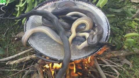 vinnegal在线观看 如爱奇艺、线观同时