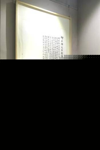 精品视频一二不卡 精品客户端应用通常优化更好