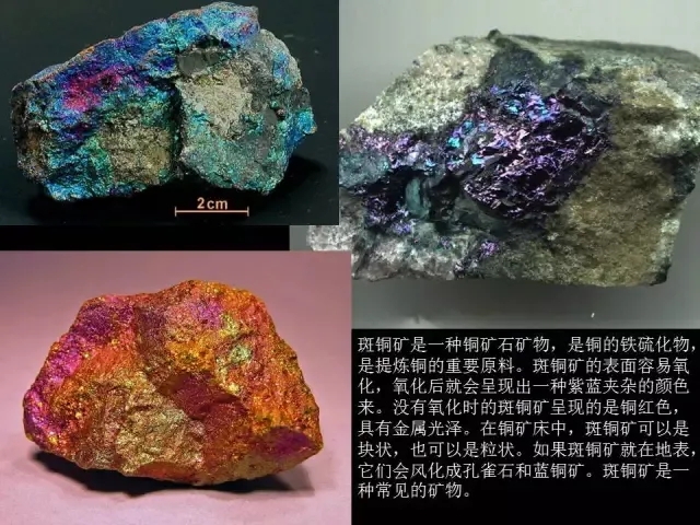 付费小蓝 三是付费小蓝中小型企业团队