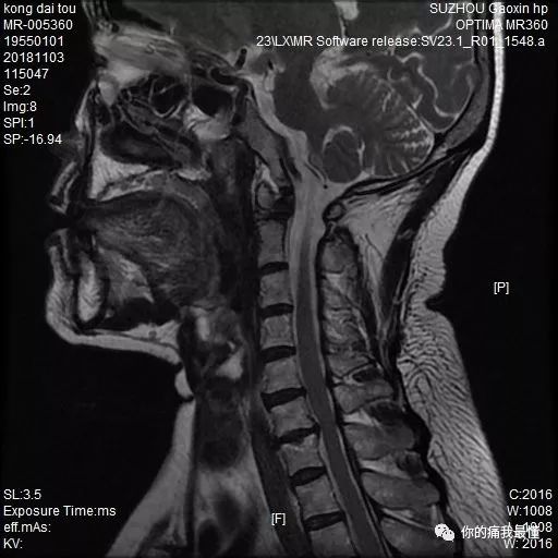 免费人成网站在线观看10分钟