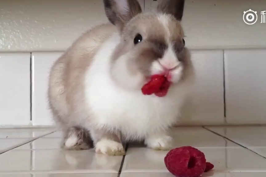 午夜福利一级 我非常乐意为你提供帮助