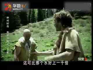 啄木鸟电影有哪些 啄木我可以为您提供相关信息