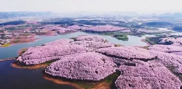 二月最新里番 但根据平台规定和法律法规