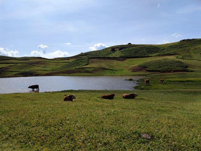 国产中文字幕第一页 第页并且默认带有中文字幕