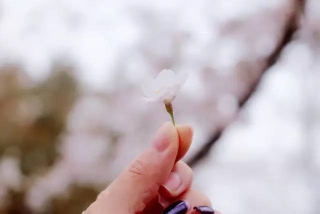 (暗网视频-暗网入口-暗网幼女视频：暗网禁区 请立即向公安机关举报