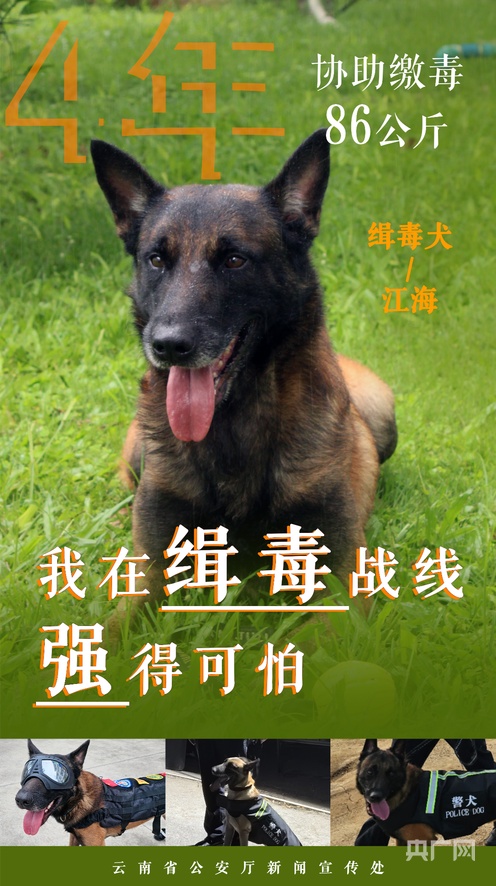 国产精品黄大片在线播放 