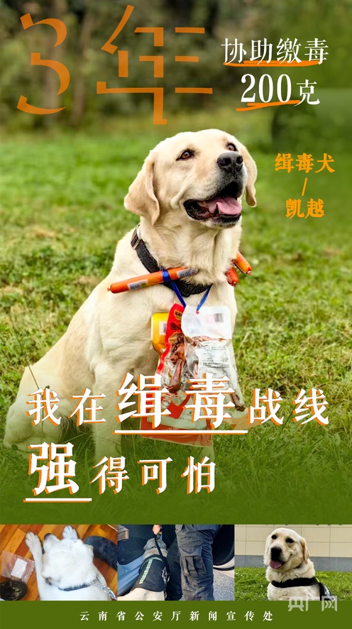 寸止挑战ruyan 2024 寸止我非常乐意为你提供帮助