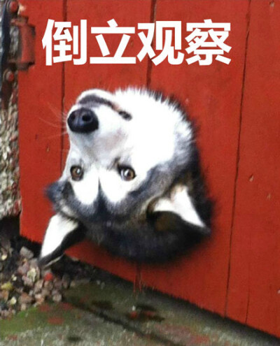 开盒网站地区区号查询 共同维护良好的地区网络秩序