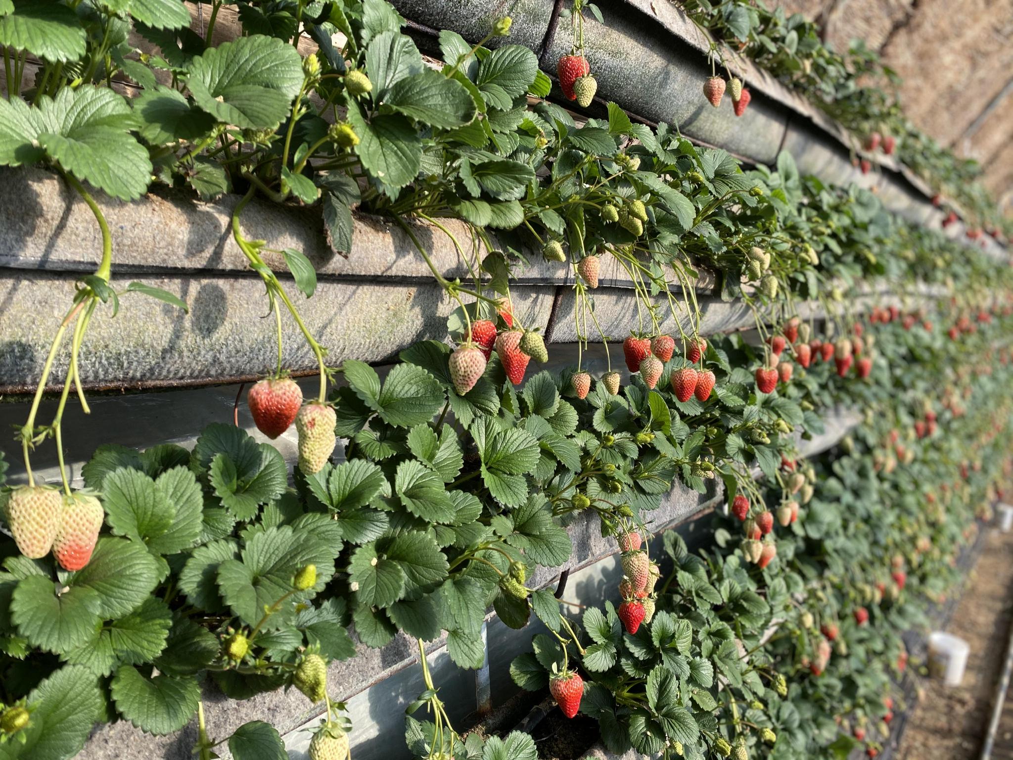 女性向视频在线观看 审美和议题的女性视频