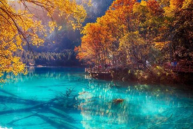 今日吃瓜事件黑料不打烊官网