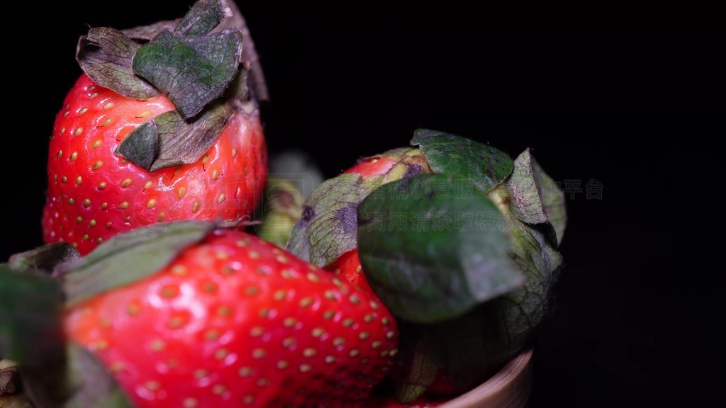 海鲜粥同人动漫 18岁）：天才渔师少年