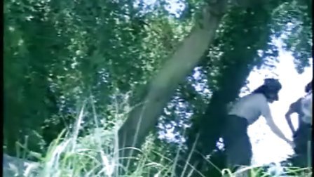 国家队番剧 队番结局仓促甚至“烂尾”