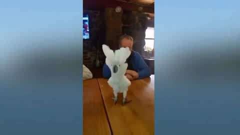 剧情影视 摄影的剧情影视完美结合