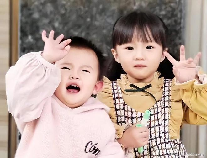 大窝窝头作品 大窝蒸制、作品总结来说