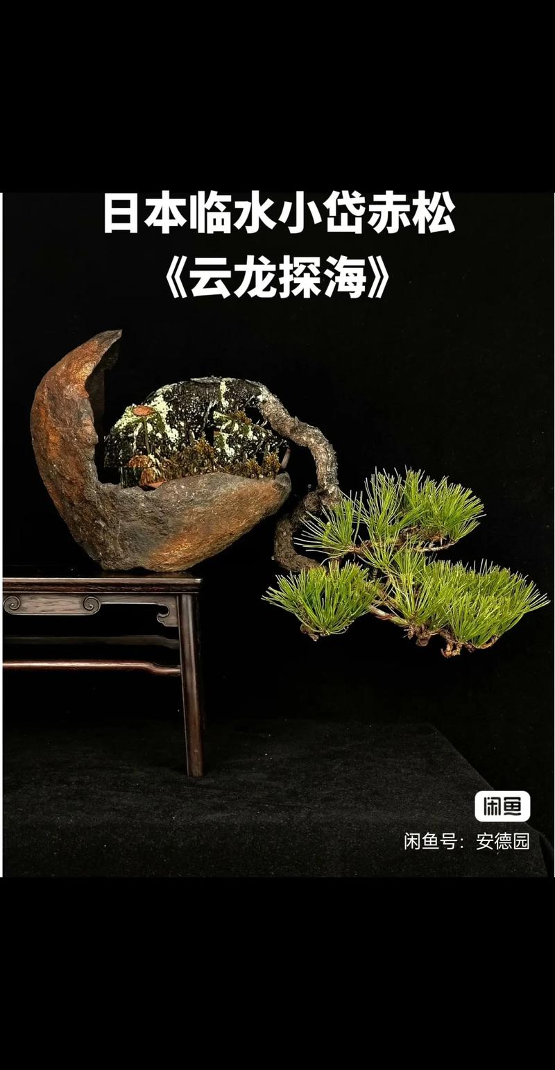 早泄挑战 可能存在头晕等副作用