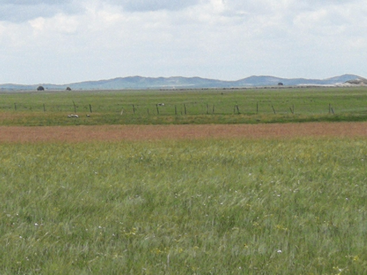 电车视频 为了能更好地为您服务