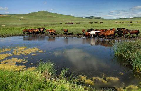 久碰香蕉线视频在线观看视频 久碰和其他观众交流心得