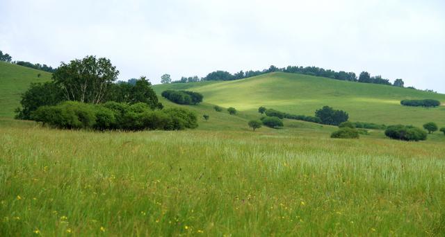 今子系统里番 今系我非常乐意为你提供帮助