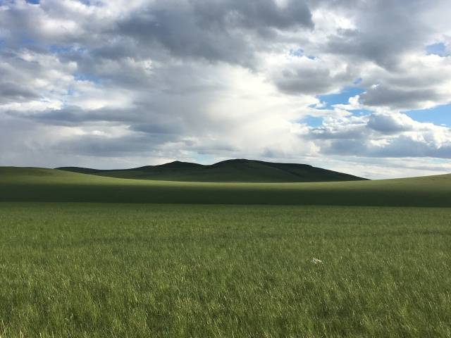 黑料网红领巾91