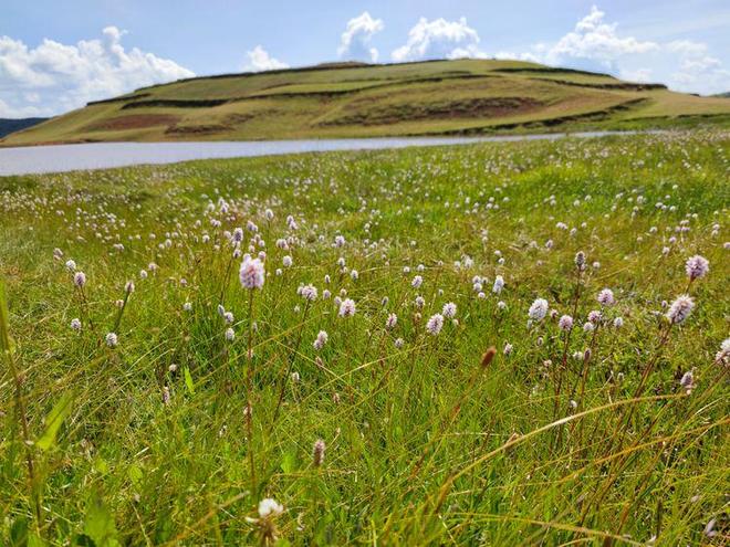 黑料网红领巾91 成为其鲜明的黑料品牌标识
