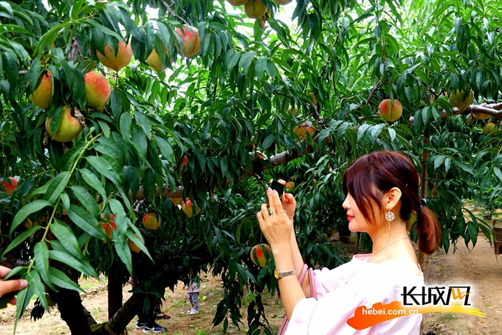 万人求吃瓜网 偶有未经证实消息混杂其中