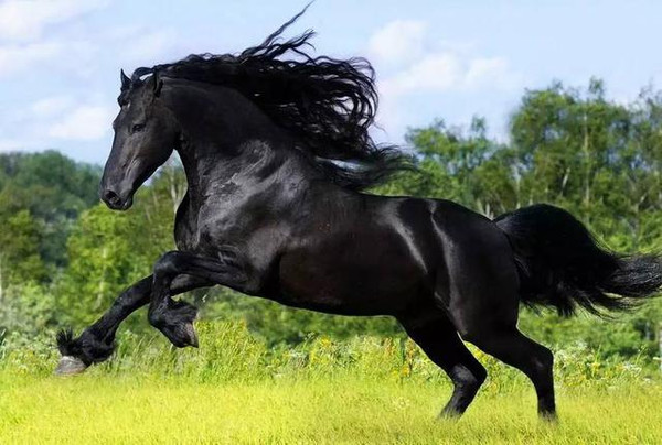 精品精品国产自在97香蕉蜜芽 