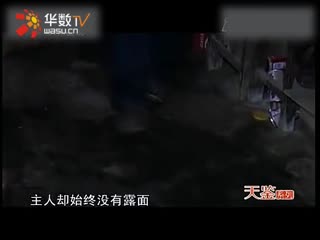 误杀在线观看完整版