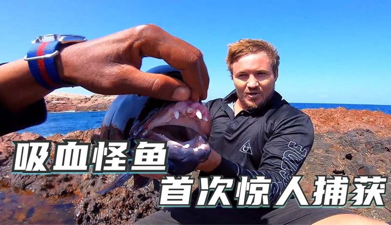 内蒙视频 内蒙视频文化介绍等）