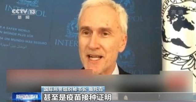 今日看料往期内容 内容通过智能分类与标签系统