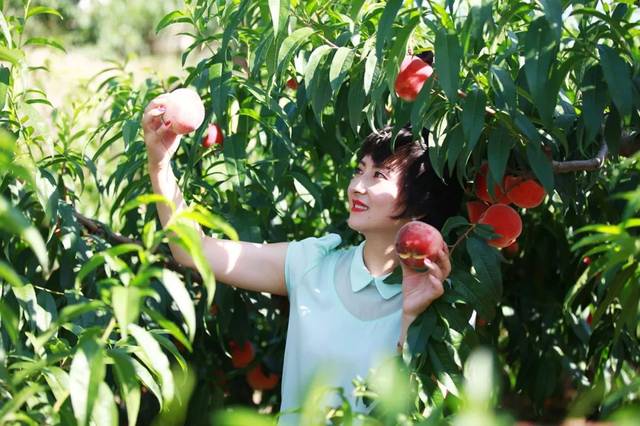 国产名人 国产名人大幅提升了研究效率