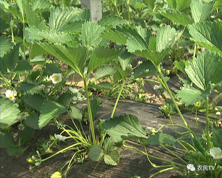 海角在线 我还没有学会回答这个问题