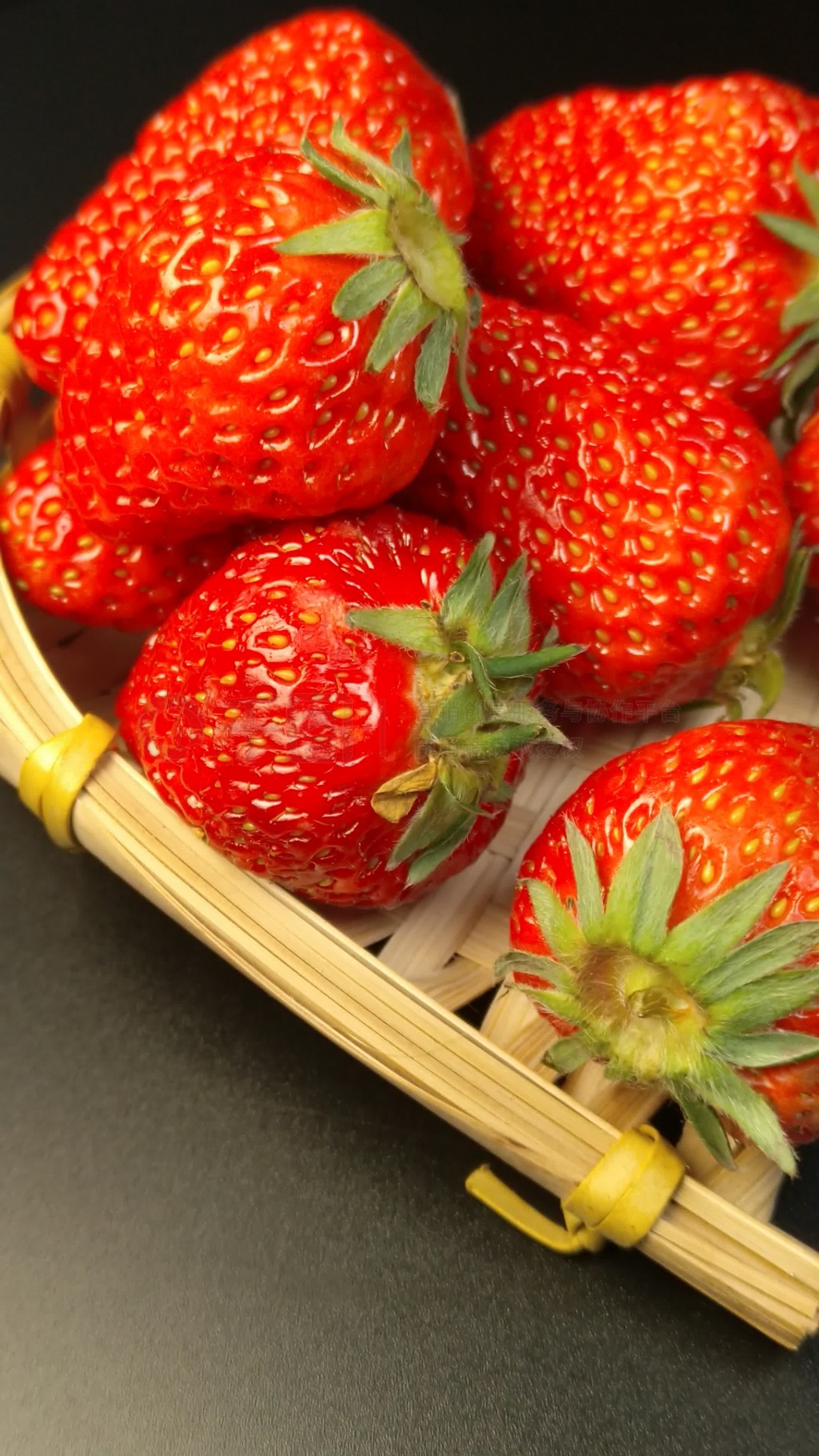 郊狼视频 请务必记住：保持距离