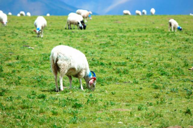 羞耻诊疗室 看到你提到“羞耻诊疗室”