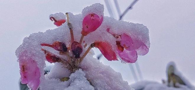 万里长征 长征防水及耐磨性能出色