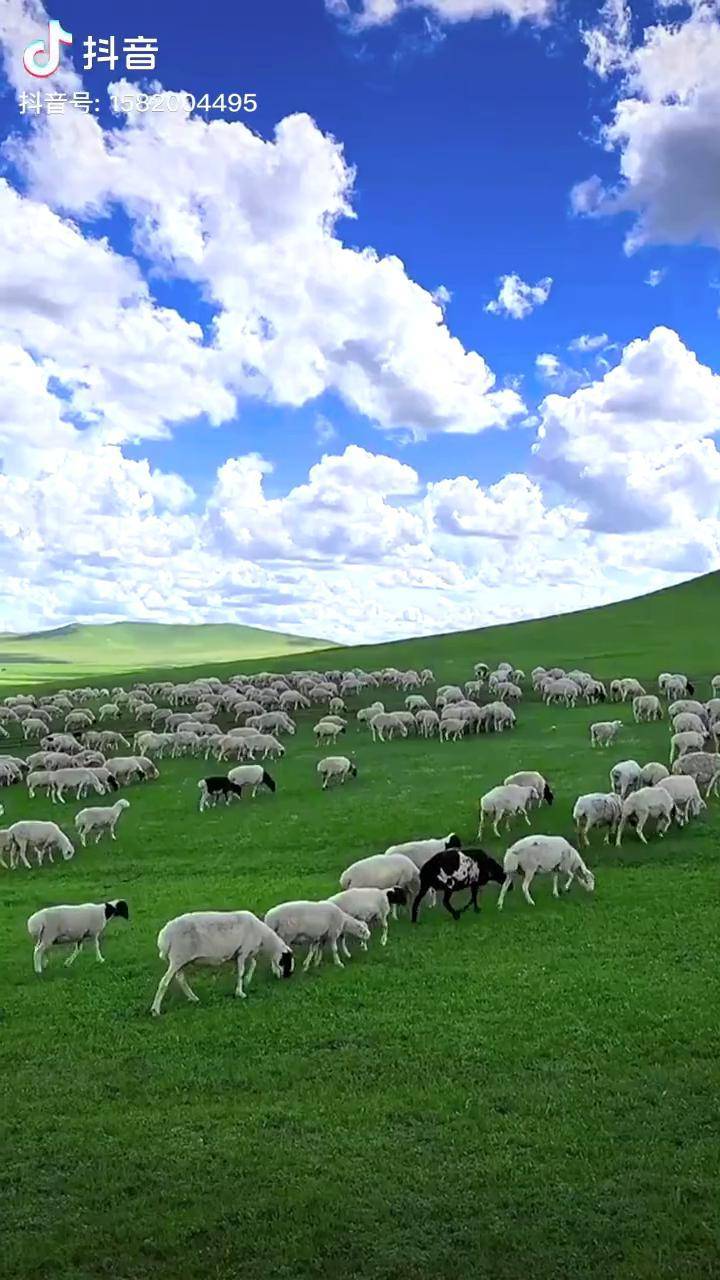 小马拉大车 海角社区 小马我非常乐意为你提供帮助