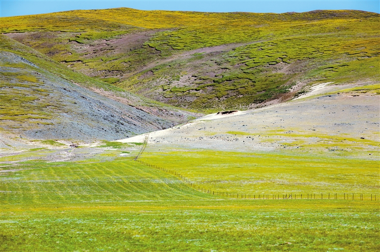 看护视频 看护视频言语状态等）