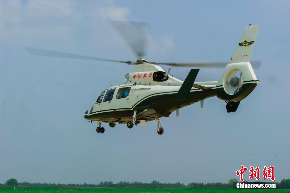 破解短视频 破解频需本地化改编