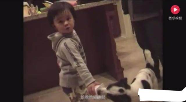 51视频破解版 如果你有其他问题或需要帮助