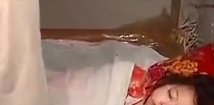 色老99九久精品偷偷鲁 默默为用户带来深度价值